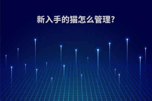 新入手的猫怎么管理?
