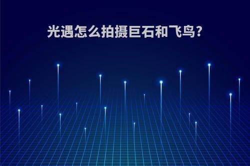 光遇怎么拍摄巨石和飞鸟?